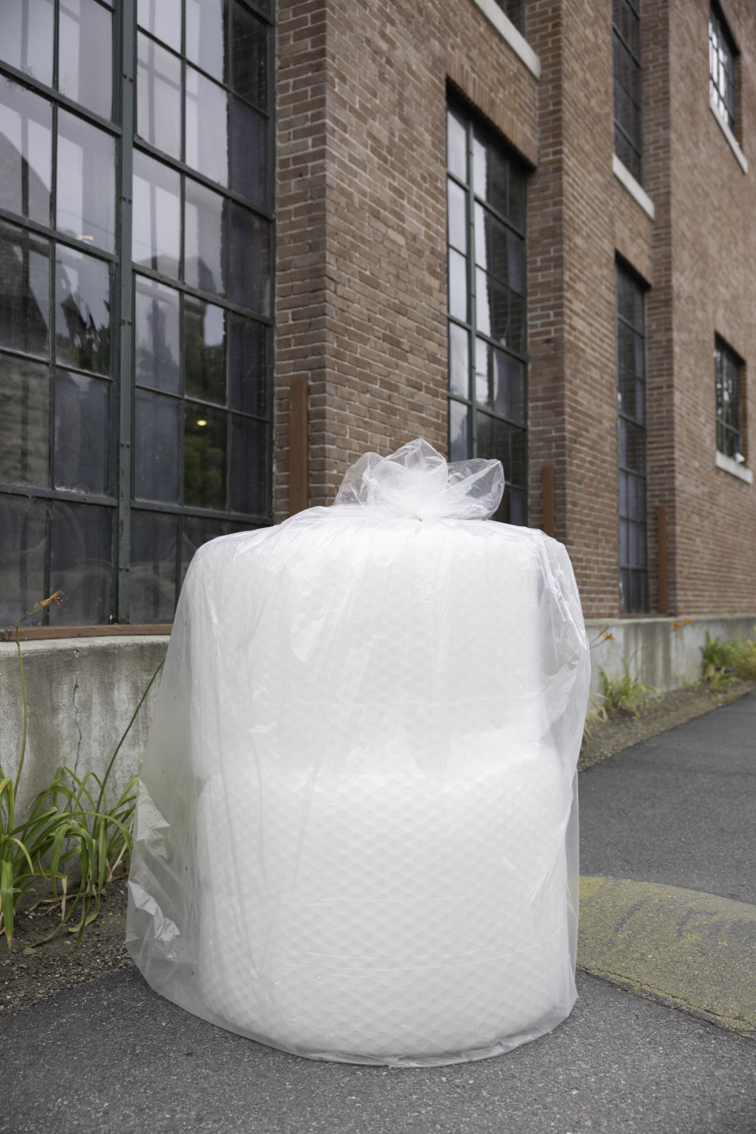 Bubble wrap roll for protective packaging